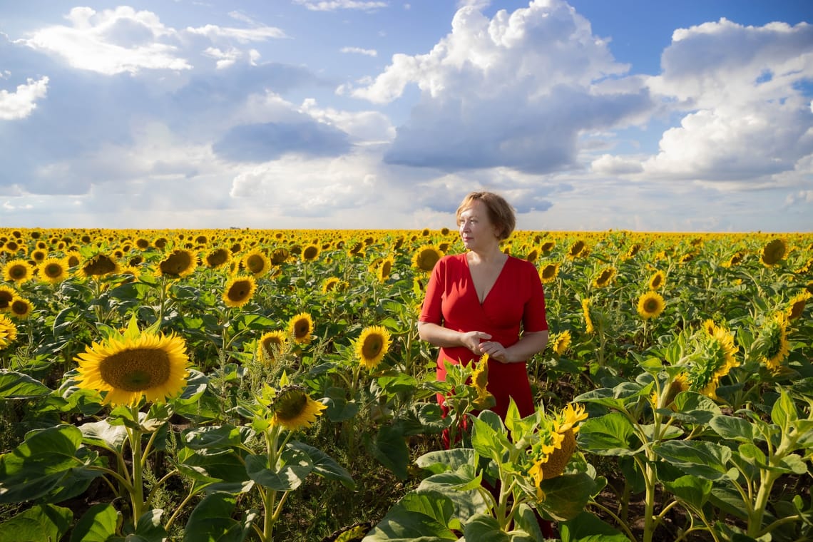 Sunflowers